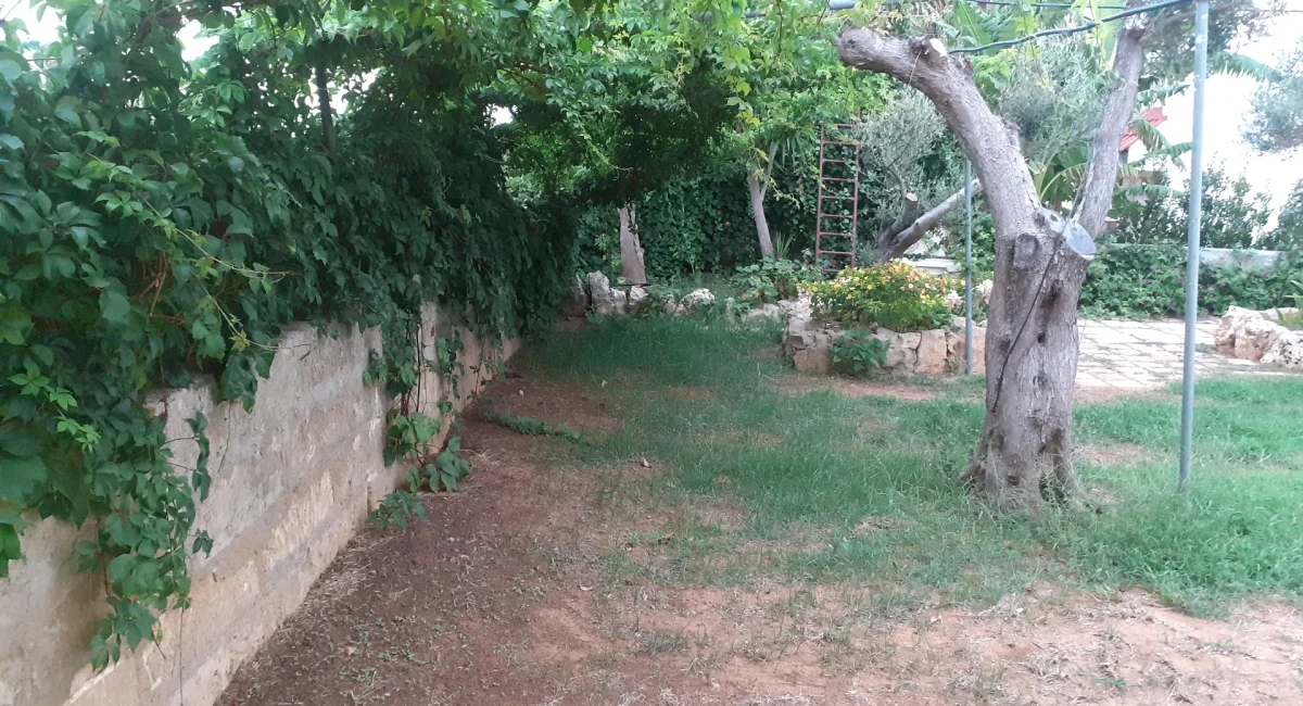 parcheggio-001-8