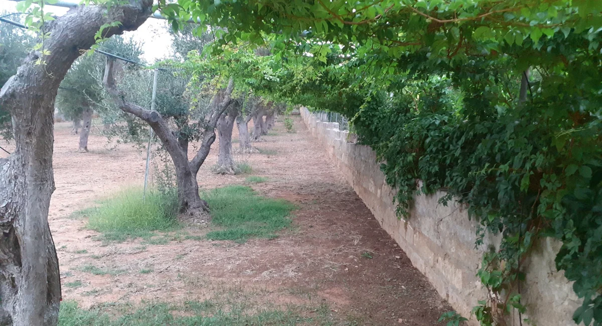 parcheggio-002